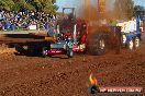 Quambatook Tractor Pull VIC 2011 - SH1_8829