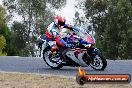 Champions Ride Day Broadford 10 02 2012 - S7H_9807