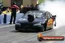 Top Doorslammers & Pro Stock Series SD 2012 - HA2N5132