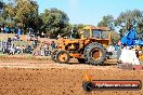 Quambatook Tractor Pull VIC 2012