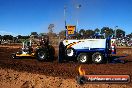 Quambatook Tractor Pull VIC 2012 - S9H_3709