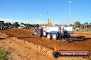 Quambatook Tractor Pull VIC 2012 - S9H_4277