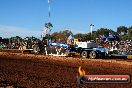 Quambatook Tractor Pull VIC 2012 - S9H_4384