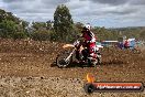 MRMC Motorcross Day Broadford 18 11 2012 - SH3_2666