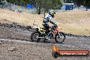 MRMC Motorcross Day Broadford 18 11 2012 - SH3_4285