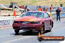 NITRO ACTION Calder Park 10 11 2012 - LA9_8181