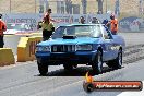 NITRO ACTION Calder Park 10 11 2012 - LA9_8226