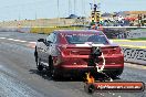 NITRO ACTION Calder Park 10 11 2012 - LA9_8349