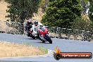 Champions Ride Day Broadford 13 01 2013 - SH6_3074