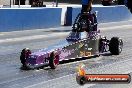 2013 NITRO CHAMPS Sydney Dragway - OF5A4182