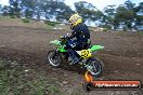 Champions Ride Days MotoX Broadford 27 10 2013 - 3CR_5715