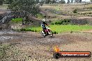 Champions Ride Days MotoX Broadford 27 10 2013 - 3CR_6029