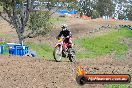 Champions Ride Days MotoX Broadford 27 10 2013 - 3CR_7287