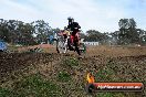 Champions Ride Days MotoX Broadford 27 10 2013 - 3CR_7310