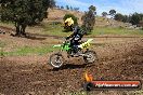 Champions Ride Days MotoX Broadford 27 10 2013 - 3CR_7356