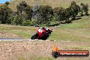 Champions Ride Day Broadford 01 11 2013 - 4CR_3670