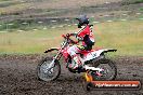 Champions Ride Days MotoX Broadford 24 11 2013 - 6CR_3038