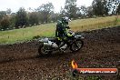 Champions Ride Days MotoX Broadford 24 11 2013 - 6CR_4125