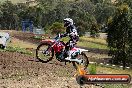 Champions Ride Days MotoX Broadford 01 12 2013 - 6CR_5018