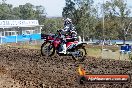 Champions Ride Days MotoX Broadford 01 12 2013 - 6CR_5126