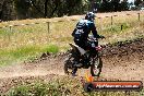 Champions Ride Days MotoX Broadford 01 12 2013 - 6CR_6189