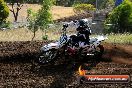 Champions Ride Days MotoX Broadford 08 12 2013 - 7CR_0905