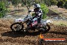 Champions Ride Days MotoX Broadford 08 12 2013 - 7CR_0908