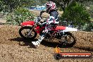 Champions Ride Days MotoX Broadford 08 12 2013 - 7CR_0918