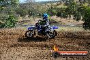 Champions Ride Days MotoX Broadford 08 12 2013 - 7CR_0921