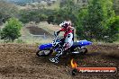 Champions Ride Days MotoX Broadford 08 12 2013 - 7CR_1058