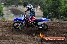 Champions Ride Days MotoX Broadford 08 12 2013 - 7CR_1065