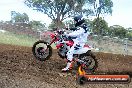 Champions Ride Days MotoX Broadford 08 12 2013 - 7CR_1101