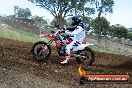 Champions Ride Days MotoX Broadford 08 12 2013 - 7CR_1151