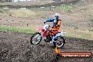 Champions Ride Days MotoX Broadford 08 12 2013 - 7CR_1192