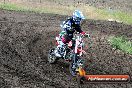 Champions Ride Days MotoX Broadford 08 12 2013 - 7CR_1199