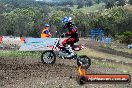 Champions Ride Days MotoX Broadford 08 12 2013 - 7CR_1231