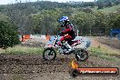 Champions Ride Days MotoX Broadford 08 12 2013 - 7CR_1232