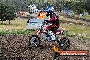 Champions Ride Days MotoX Broadford 08 12 2013 - 7CR_1238