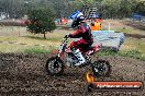 Champions Ride Days MotoX Broadford 08 12 2013 - 7CR_1239