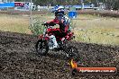 Champions Ride Days MotoX Broadford 08 12 2013 - 7CR_1240