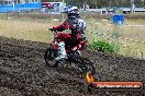 Champions Ride Days MotoX Broadford 08 12 2013 - 7CR_1241