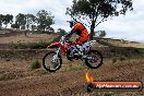 Champions Ride Days MotoX Broadford 08 12 2013 - 7CR_1316