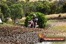 Champions Ride Days MotoX Broadford 08 12 2013 - 7CR_1499