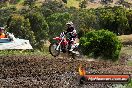 Champions Ride Days MotoX Broadford 08 12 2013 - 7CR_1500