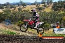 Champions Ride Days MotoX Broadford 08 12 2013 - 7CR_1501