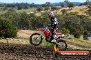 Champions Ride Days MotoX Broadford 08 12 2013 - 7CR_1502