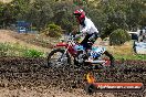 Champions Ride Days MotoX Broadford 08 12 2013 - 7CR_1506