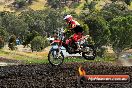 Champions Ride Days MotoX Broadford 08 12 2013 - 7CR_1514