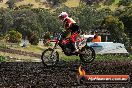 Champions Ride Days MotoX Broadford 08 12 2013 - 7CR_1515