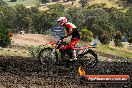 Champions Ride Days MotoX Broadford 08 12 2013 - 7CR_1516